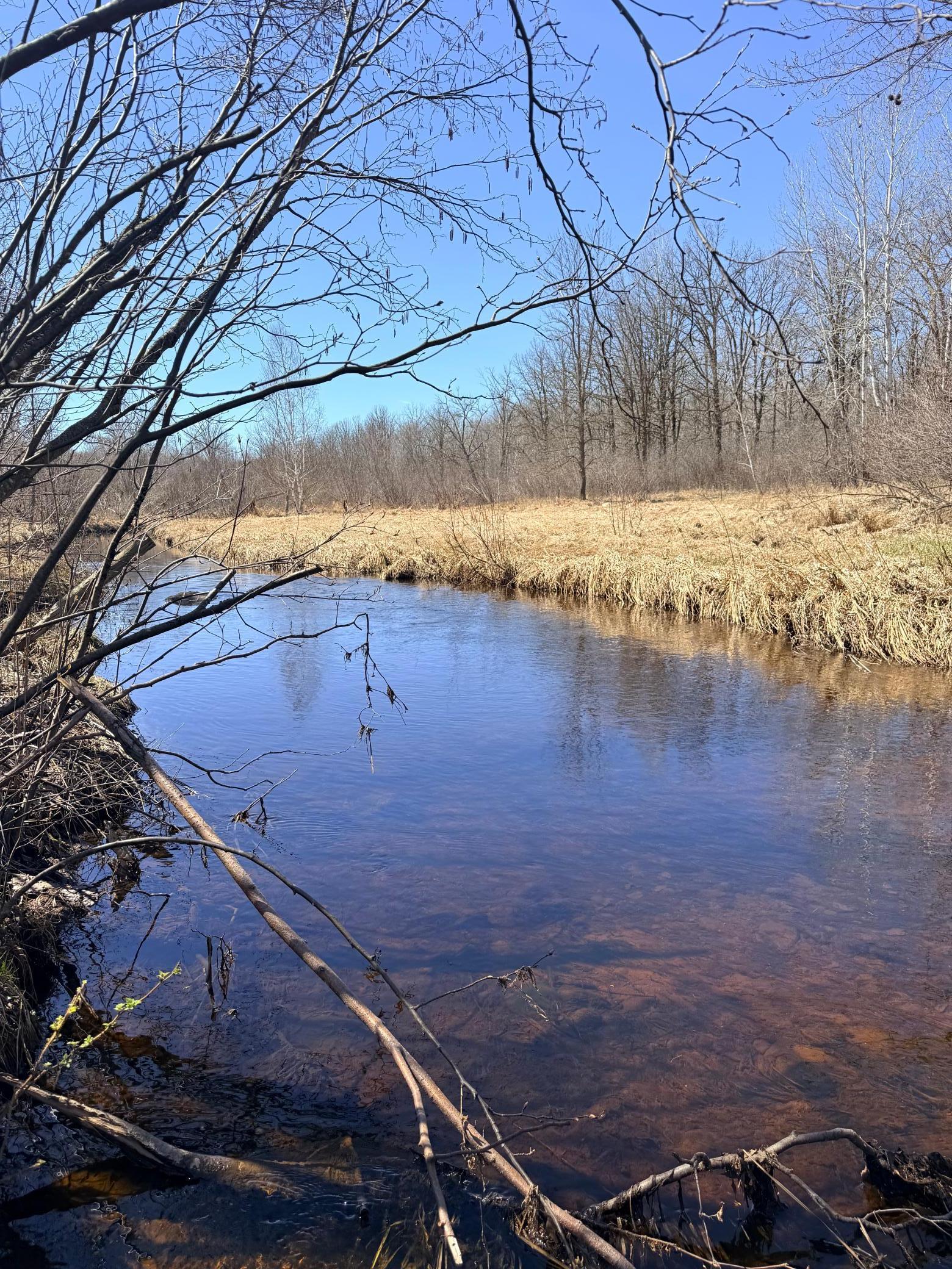 Xxx Rice Road Brook Park, MN 55007 - Photo 13 of 27