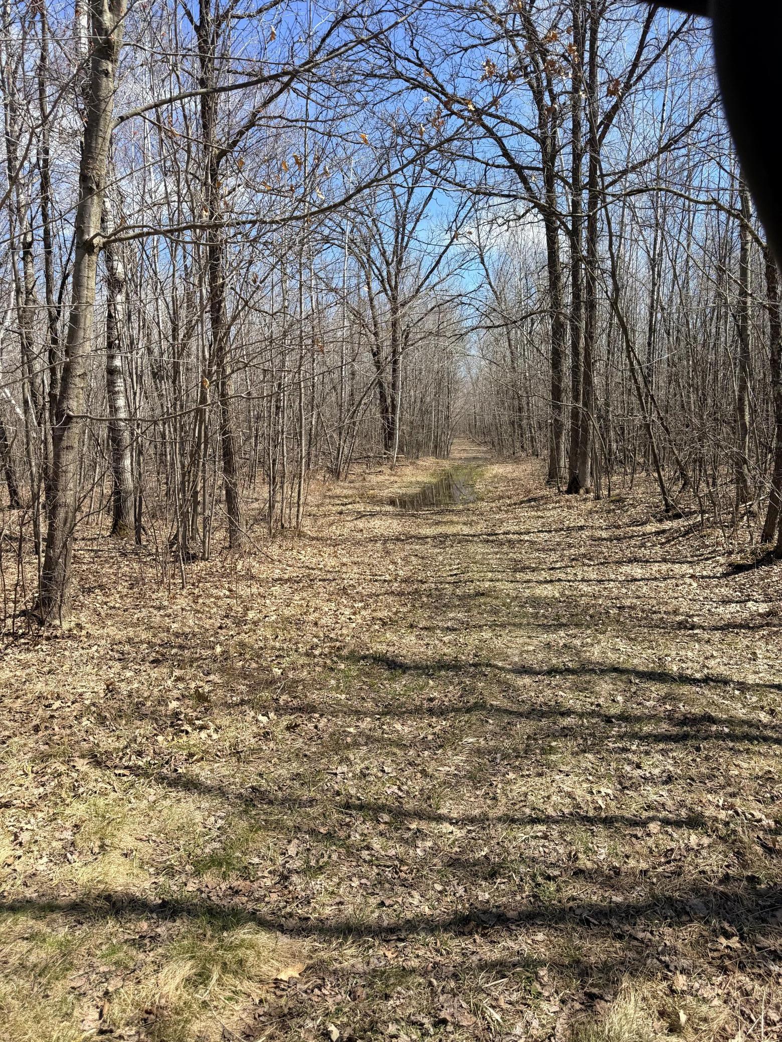 Xxx Rice Road Brook Park, MN 55007 - Photo 20 of 27