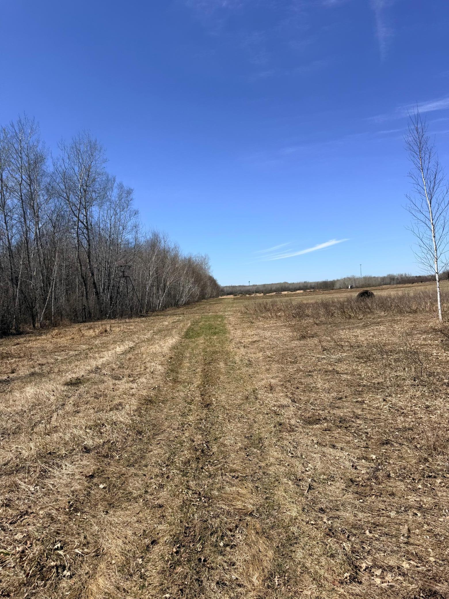 Xxx Rice Road Brook Park, MN 55007 - Photo 22 of 27