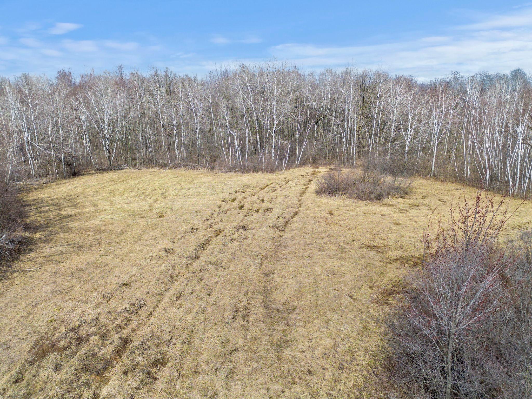 Xxx Rice Road Brook Park, MN 55007 - Photo 3 of 12