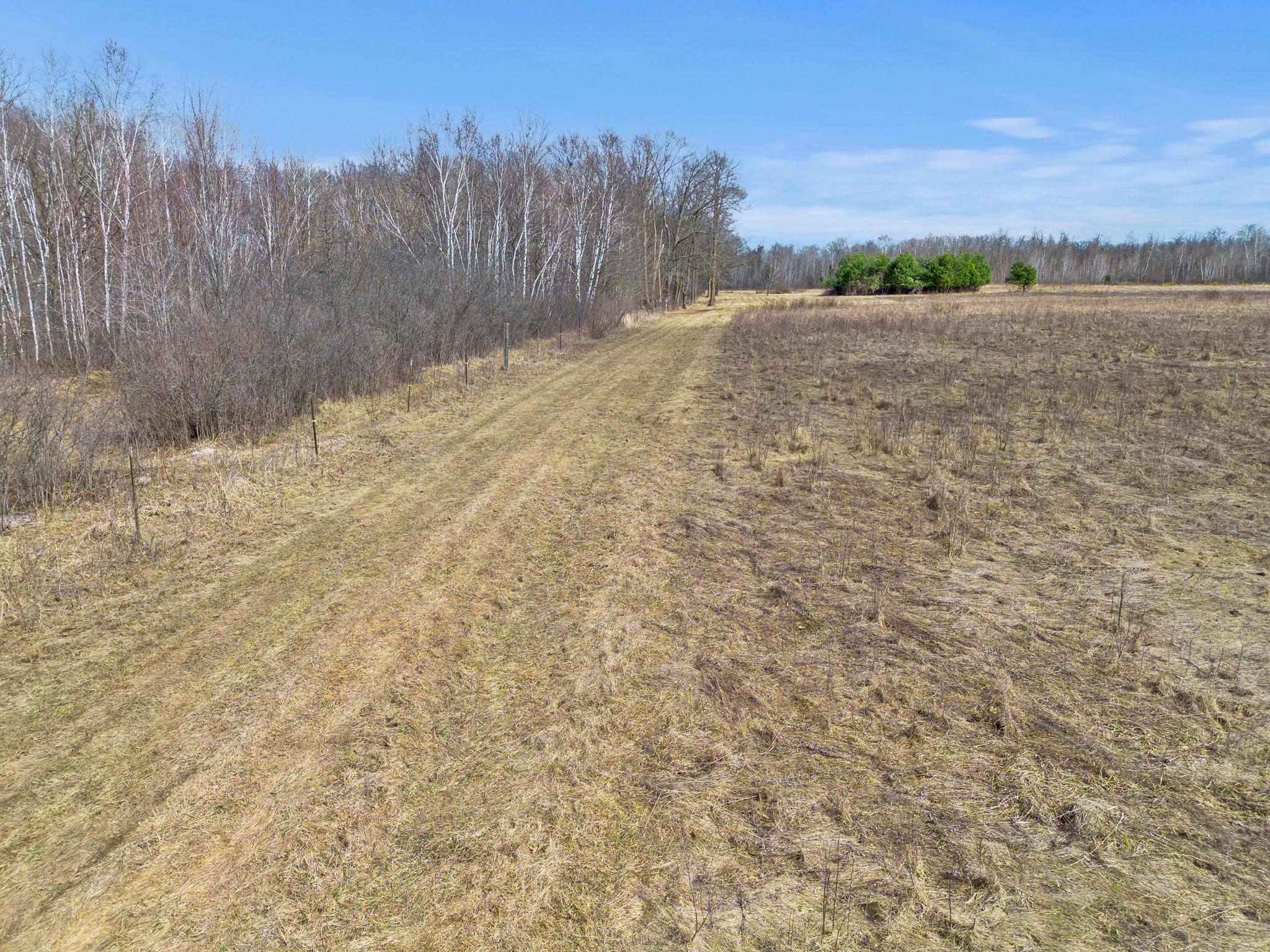 Xxx Rice Road Brook Park, MN 55007 - Photo 4 of 12