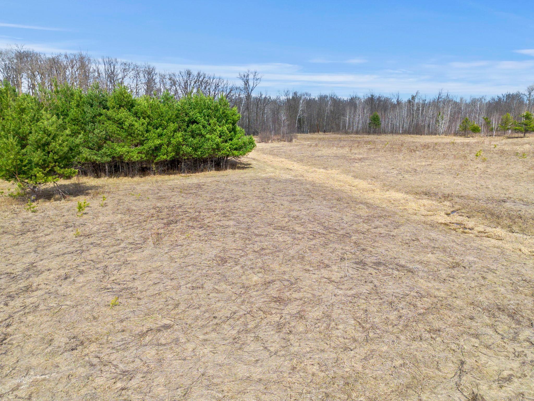 Xxx Rice Road Brook Park, MN 55007 - Photo 5 of 12