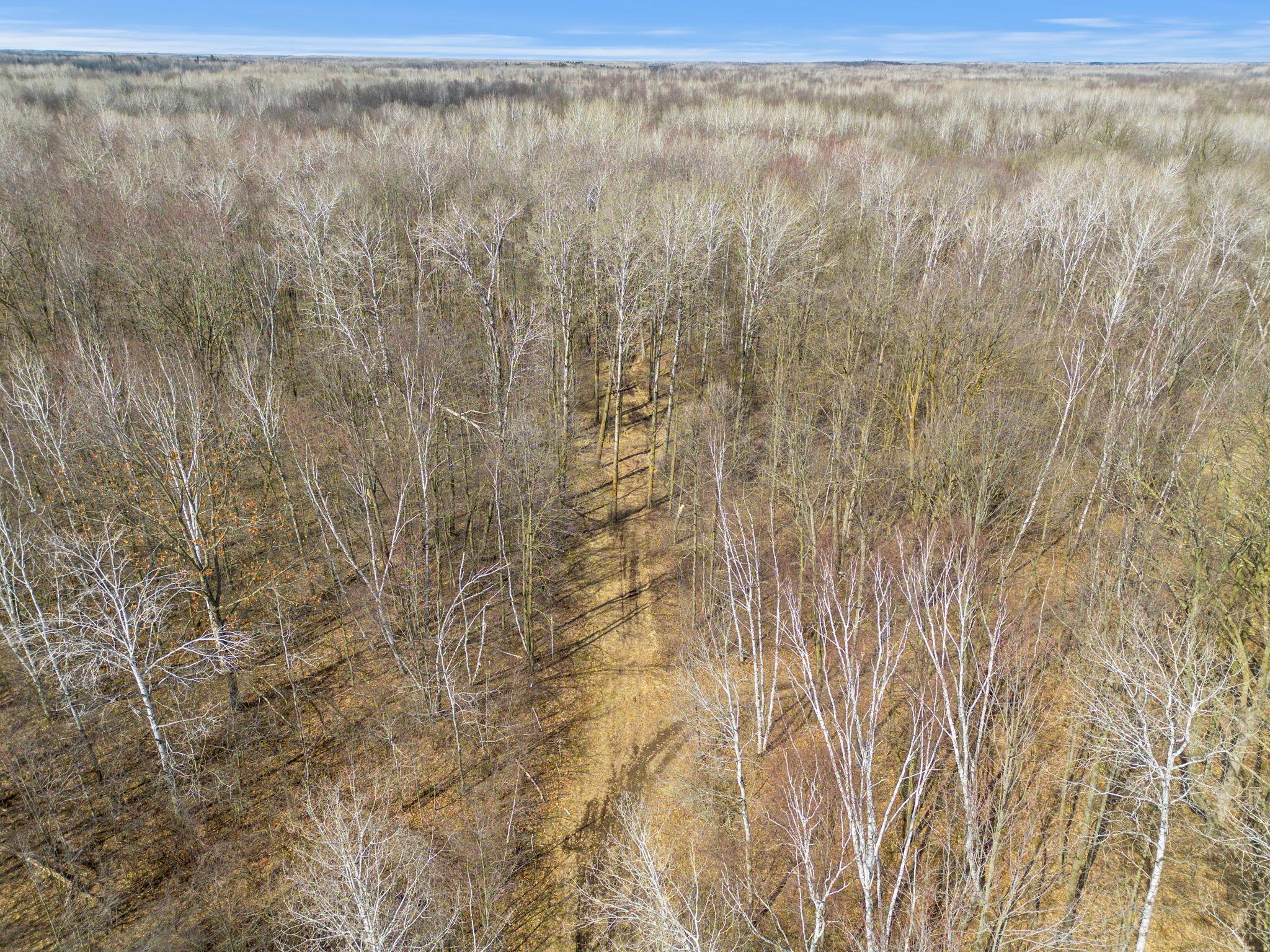 Xxx Rice Road Brook Park, MN 55007 - Photo 6 of 12