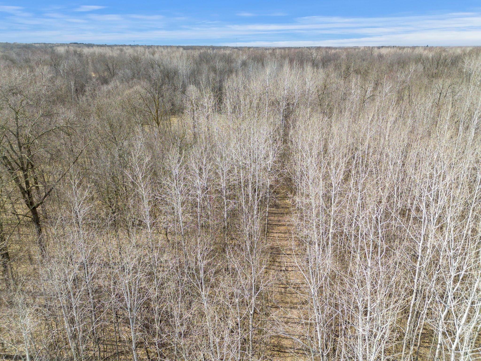 Xxx Rice Road Brook Park, MN 55007 - Photo 8 of 12