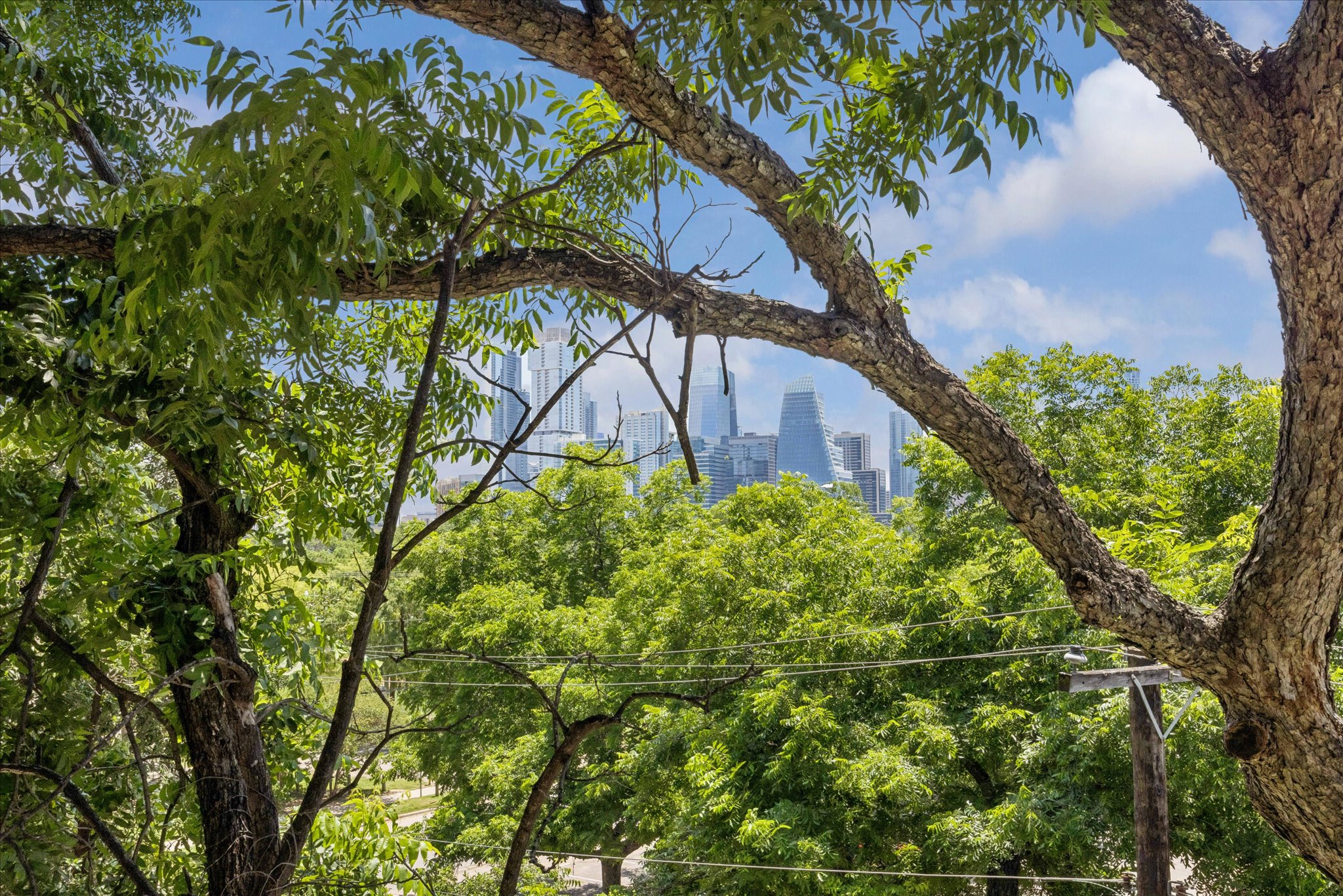 1900 Barton Springs Road, Unit 4041 Austin, TX 78704 - Photo 2 of 35 A vibrant cityscape peeks through a lush canopy, offering a compelling blend of nature and urban living.