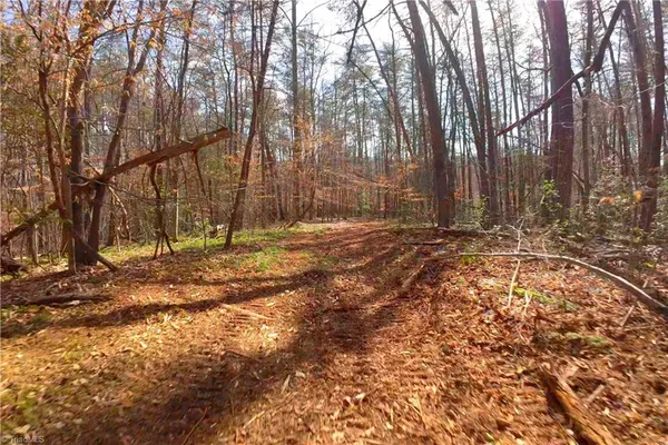 $161,700 | 3341 Highway 66 South, Westfield, NC 27053
