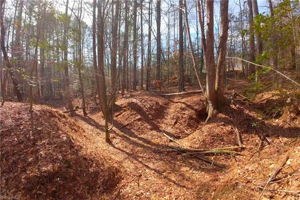 $161,700 | 3341 Highway 66 South, Westfield, NC 27053