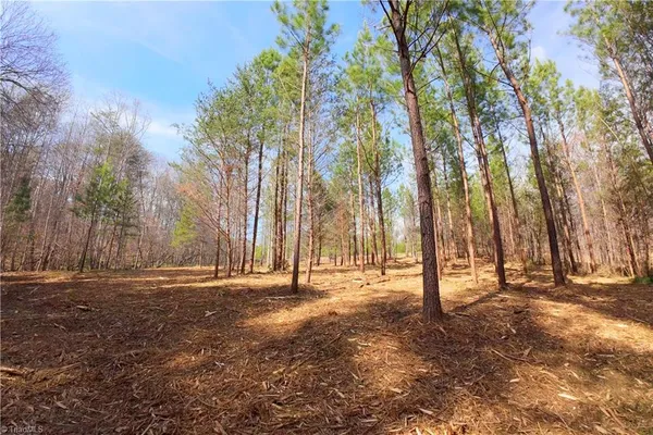 $161,700 | 3341 Highway 66 South, Westfield, NC 27053