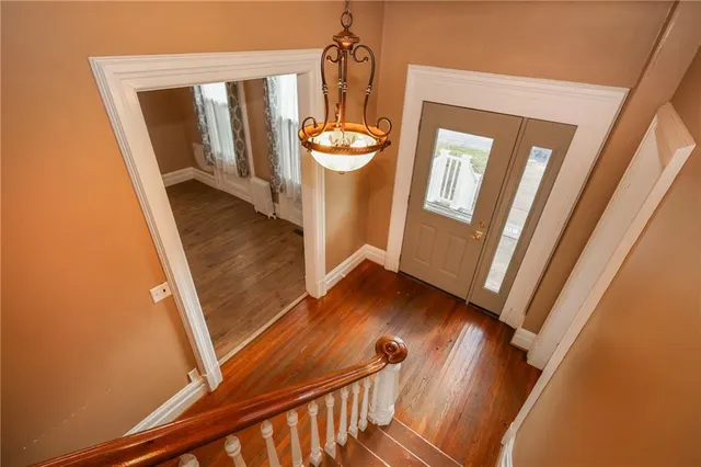 a view of a park with a large trees