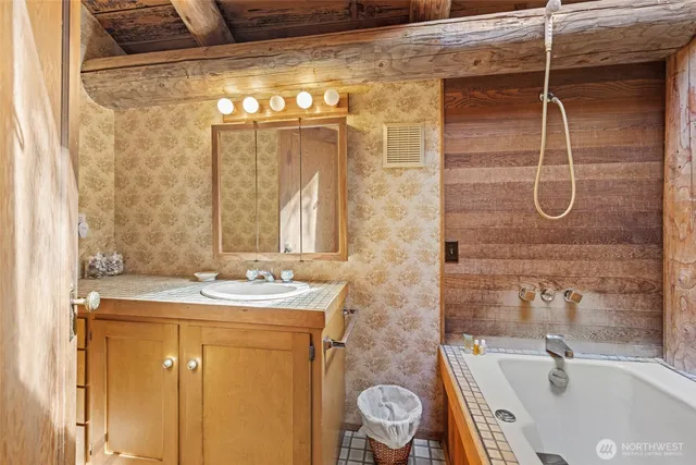 a bathroom with a sink and a shower