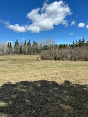 $300,000 | Tbd Tbd 307th, Bemidji, MN 56601