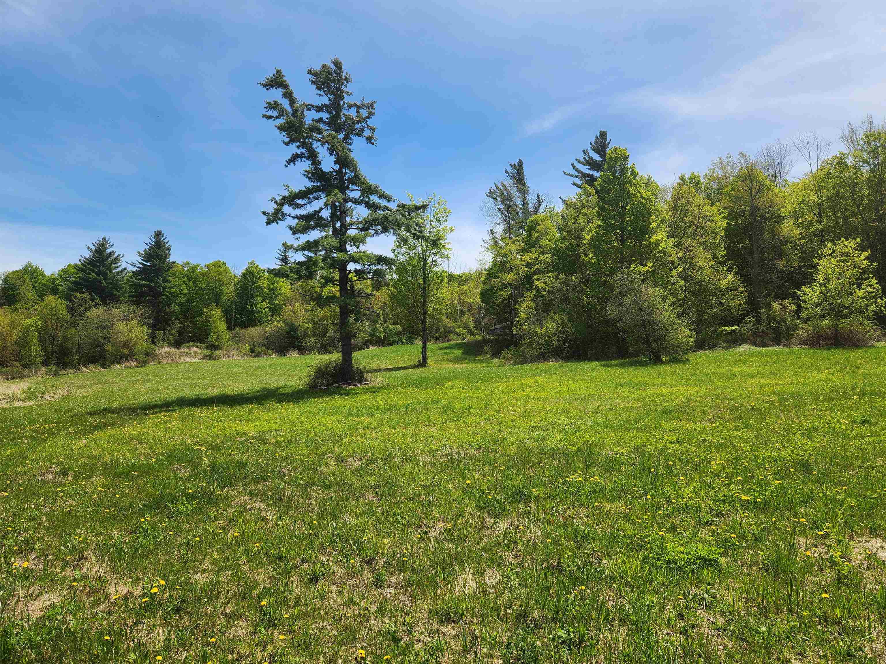 3517 Colvin Hill Road Danby, VT 05739 - Photo 23 of 25