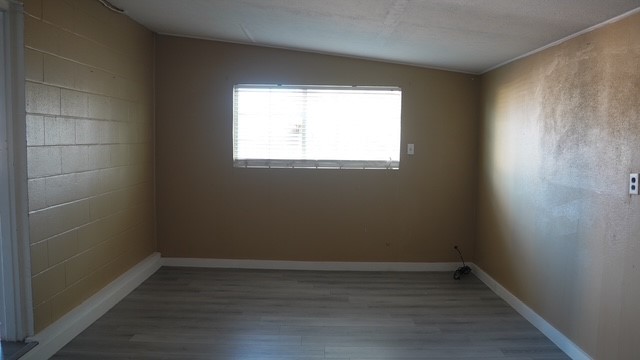 401 East Linar Street Hebbronville, TX 78361 - Photo 6 of 18