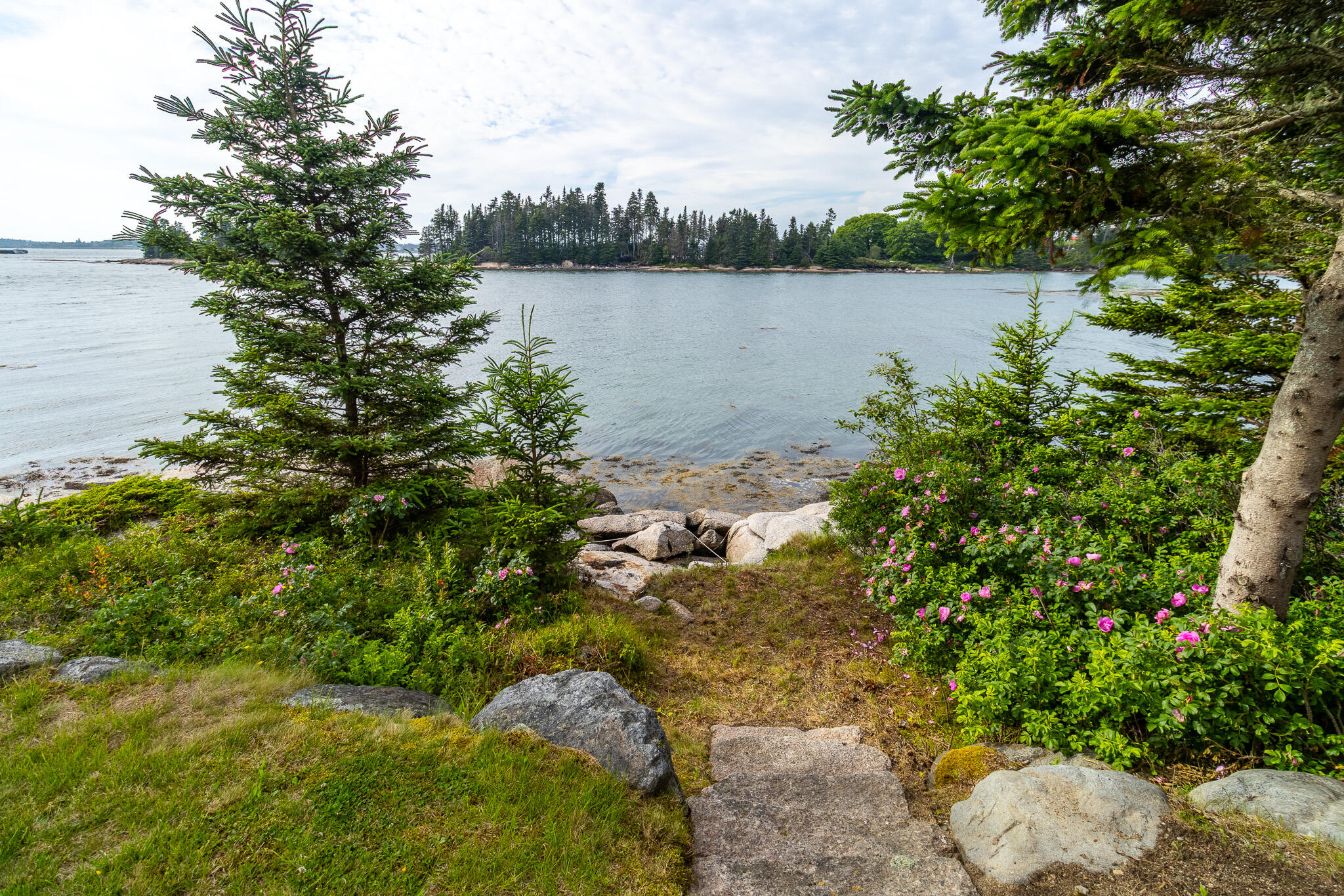 86 Mill Pond Road Beals, ME 04611 - Photo 61 of 87