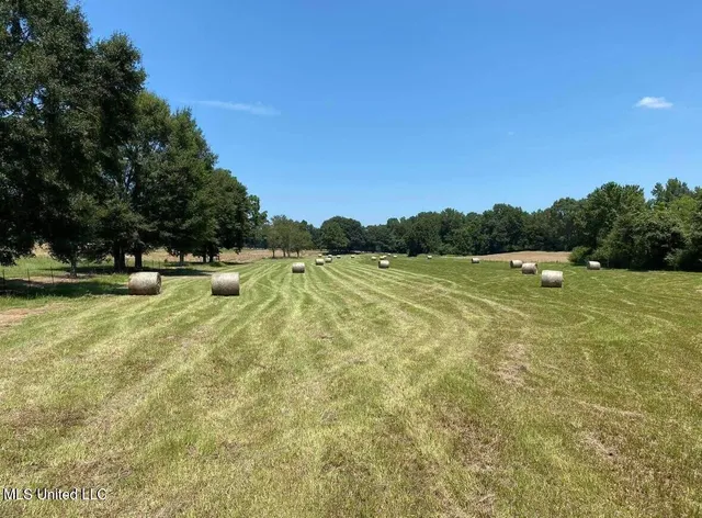 $159,800 | Tbd Farmer Road, Smithdale, MS 39664