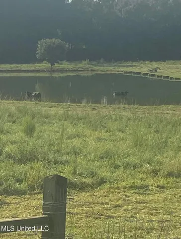 $159,800 | Tbd Farmer Road, Smithdale, MS 39664