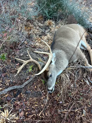 $159,800 | Tbd Farmer Road, Smithdale, MS 39664