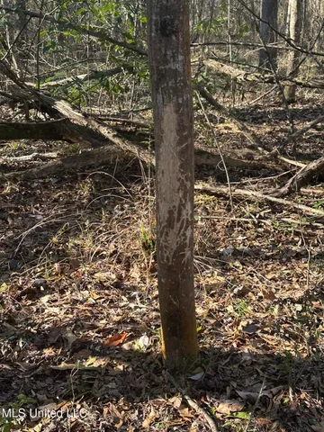 $159,800 | Tbd Farmer Road, Smithdale, MS 39664