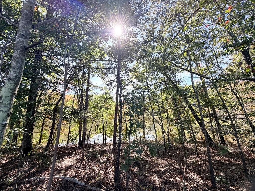 382 Arlington Lane Commerce, GA 30529 - Photo 42 of 43 a view of a yard with a tree
