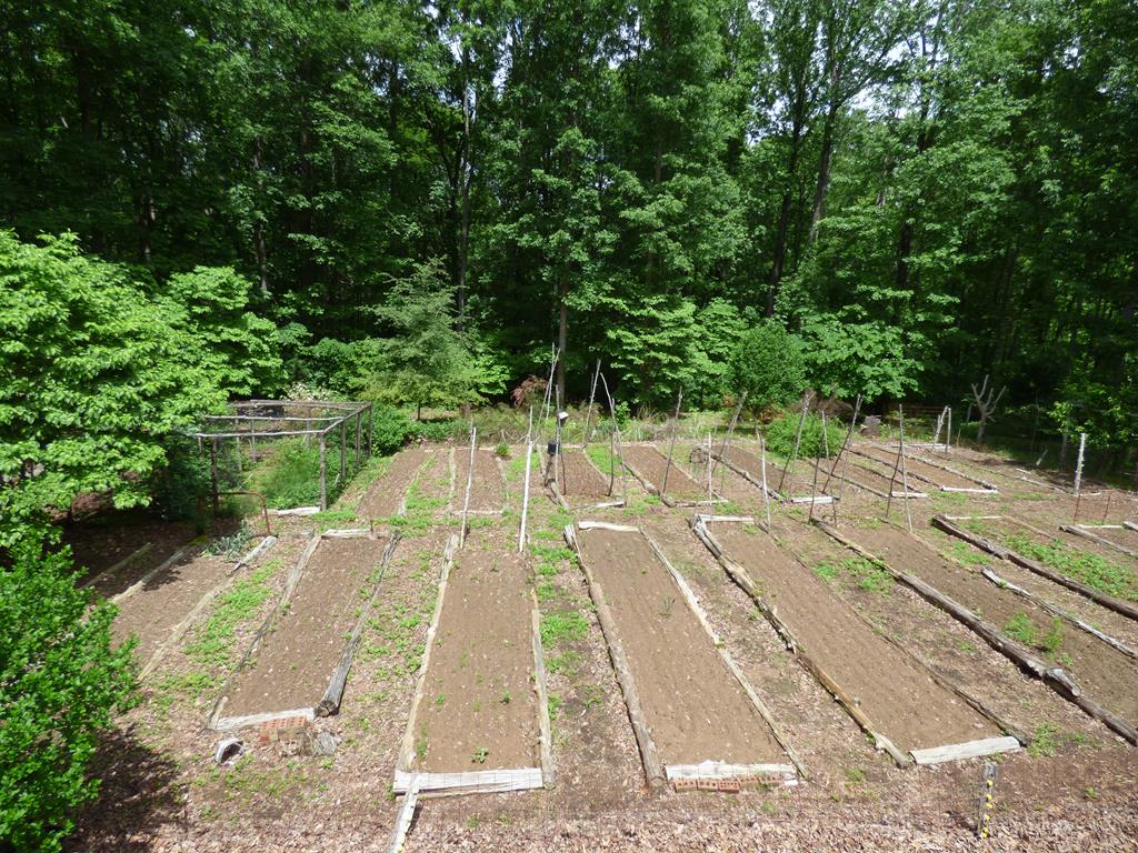 297 Legrande Road Dillwyn, VA 23936 - Photo 57 of 65 Gallery Image 57