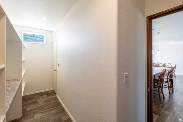 700 East Peter Springs Road Monticello, UT 84535 - Photo 12 of 57 Functional hallway featuring built-in shelving with a light-toned countertop, wood-finish flooring, and a window