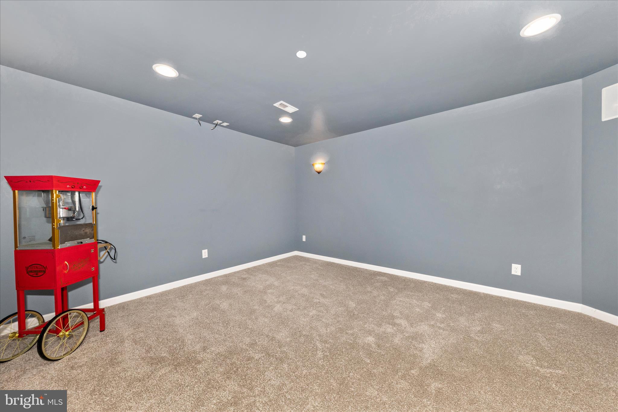 6735 Burkittsville Road Middletown, MD 21769 - Photo 49 of 82 Lower Bedroom or Movie Room