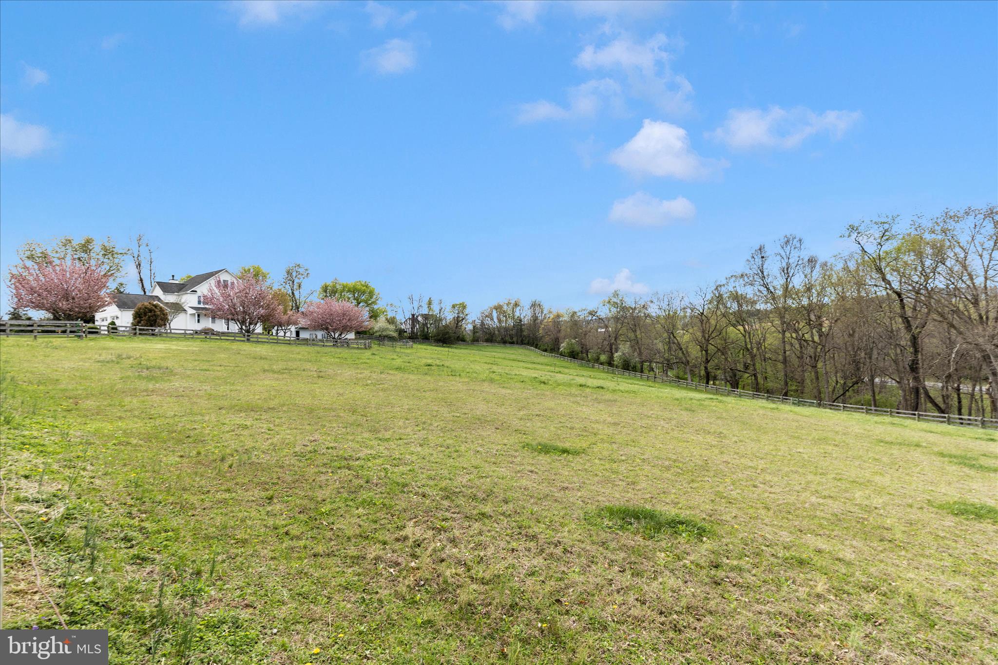 6735 Burkittsville Road Middletown, MD 21769 - Photo 64 of 82 Front Pasture