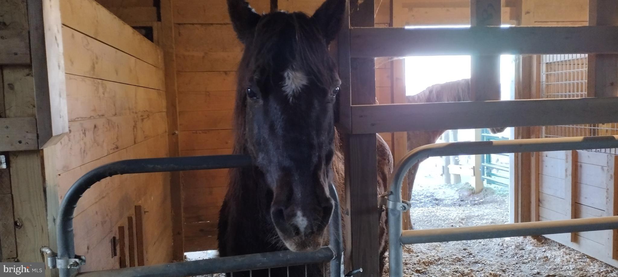 6735 Burkittsville Road Middletown, MD 21769 - Photo 65 of 82