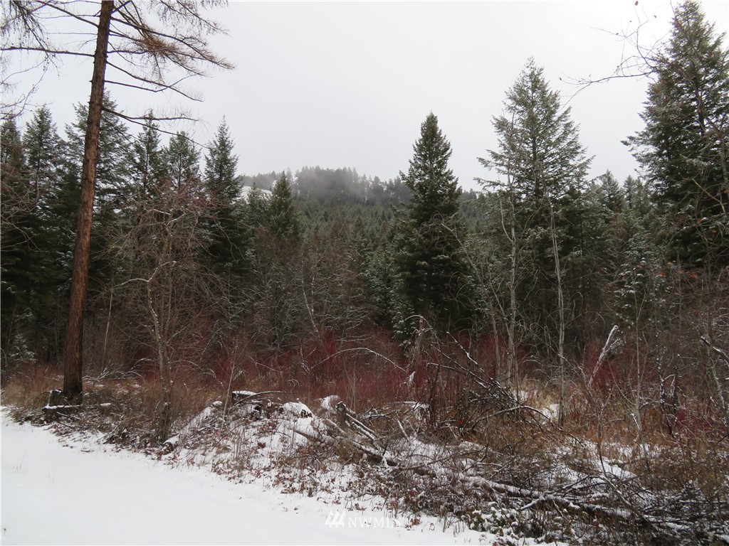 95 Tucker Road Republic, WA 99166 - Photo 22 of 30 Gallery Image 22