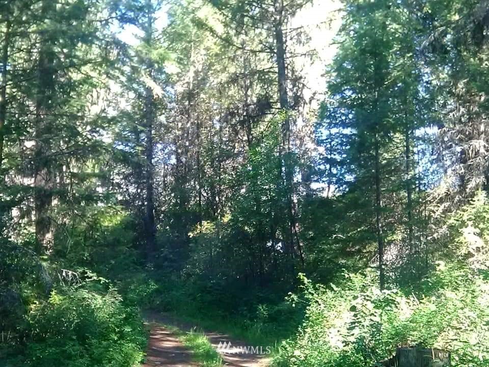 95 Tucker Road Republic, WA 99166 - Photo 29 of 30 Gallery Image 29
