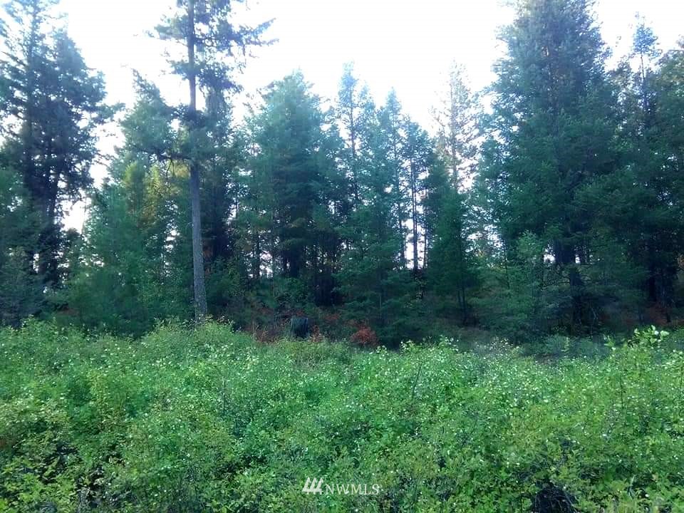 95 Tucker Road Republic, WA 99166 - Photo 30 of 30 Gallery Image 30