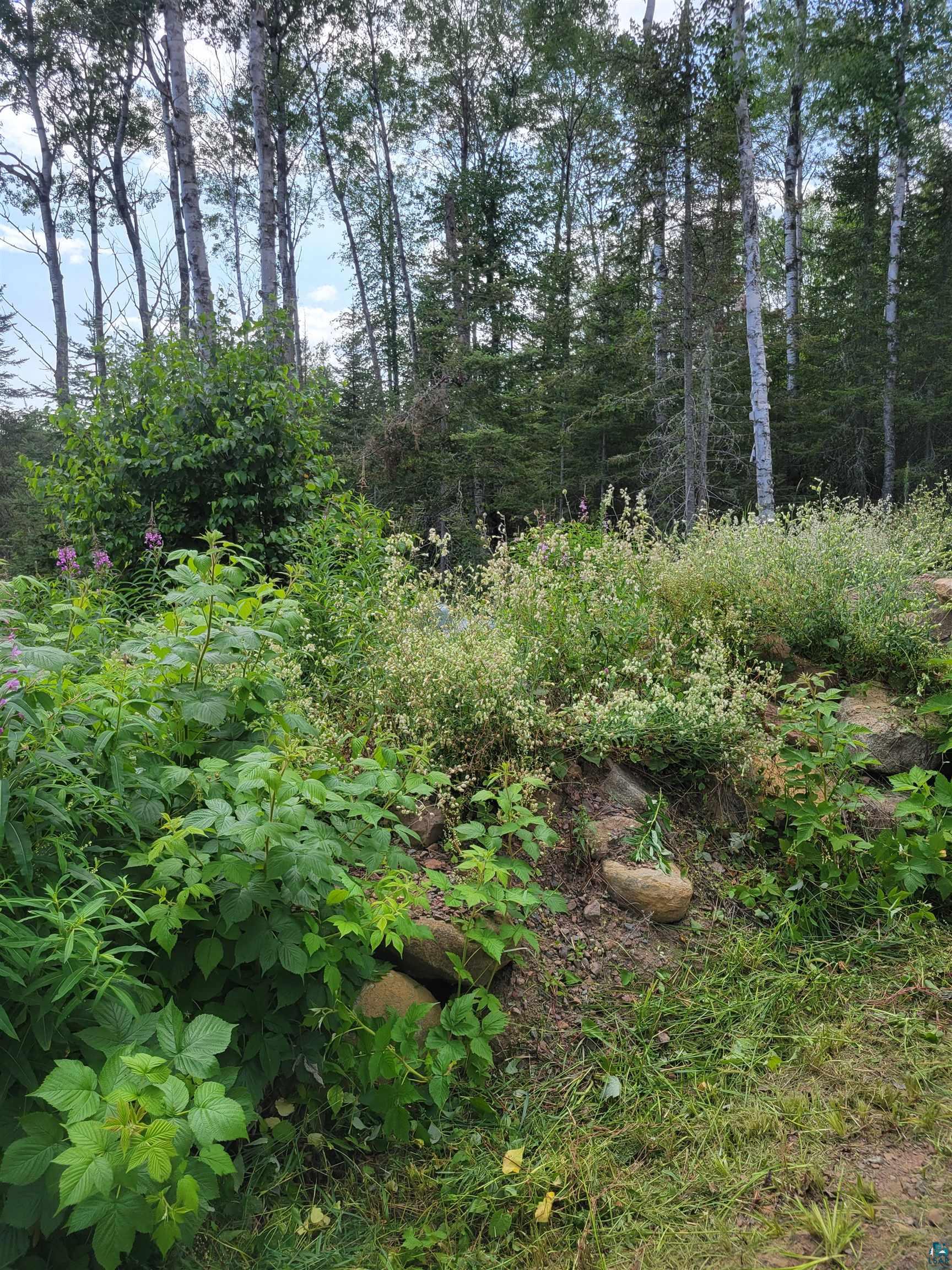 1408 Devil Track Road Grand Marais, MN 55604 - Photo 36 of 50 View of local wilderness