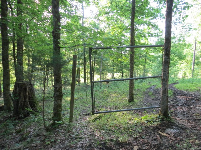 0 Young Hollow Road Pulaski, TN 38478 - Photo 14 of 46 a view of outdoor space and garden