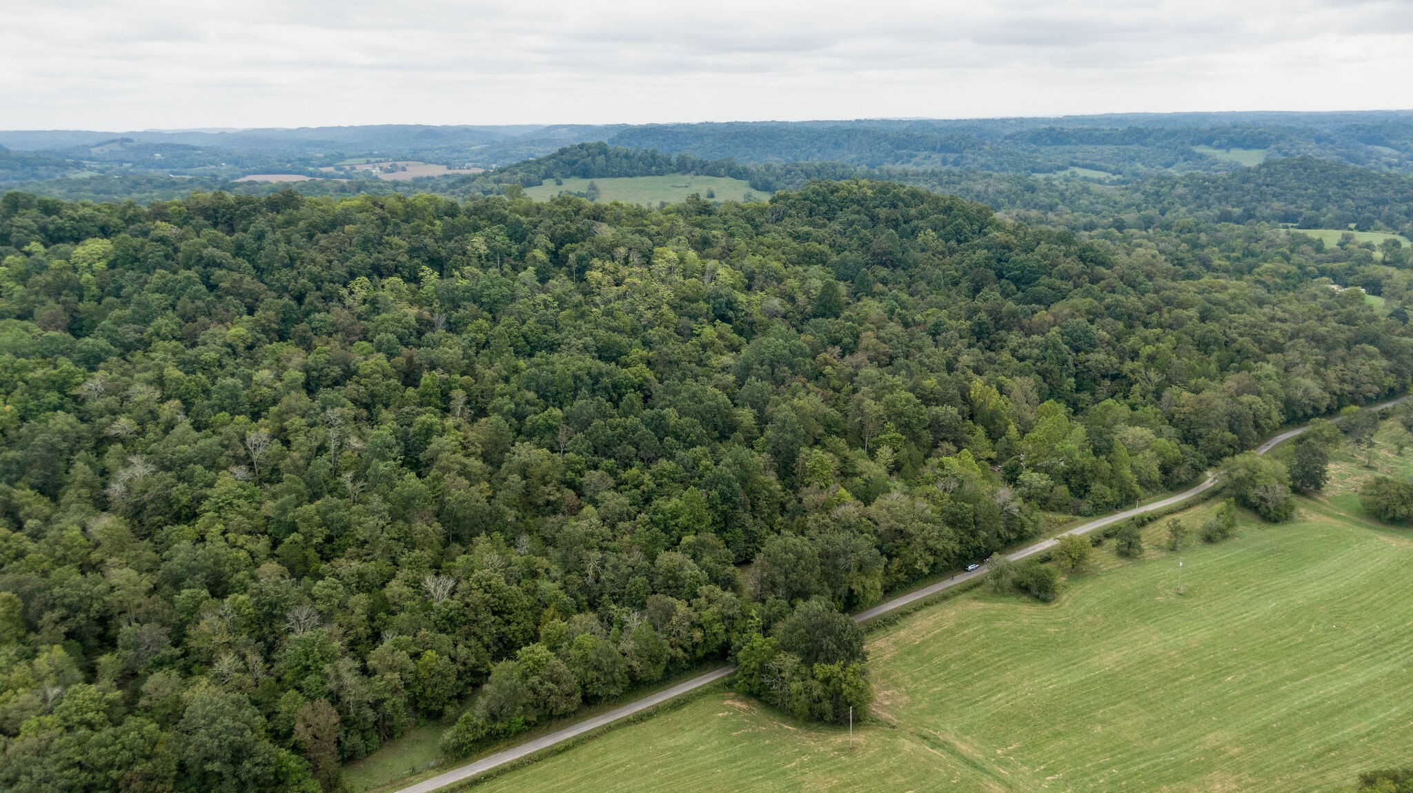 0 Young Hollow Road Pulaski, TN 38478 - Photo 2 of 46 a view of a forest with a mountain