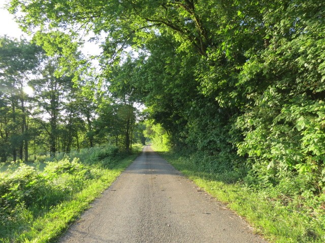 0 Young Hollow Road Pulaski, TN 38478 - Photo 28 of 46 a view of a pathway of a garden