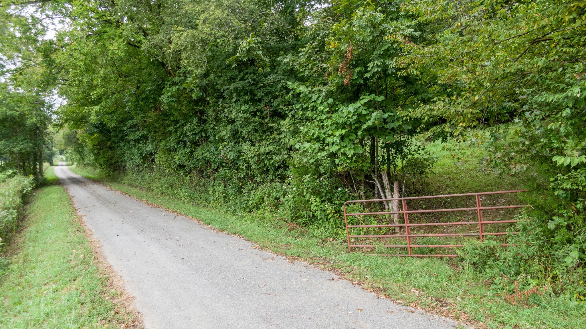0 Young Hollow Road Pulaski, TN 38478 - Photo 29 of 46 a view of a backyard