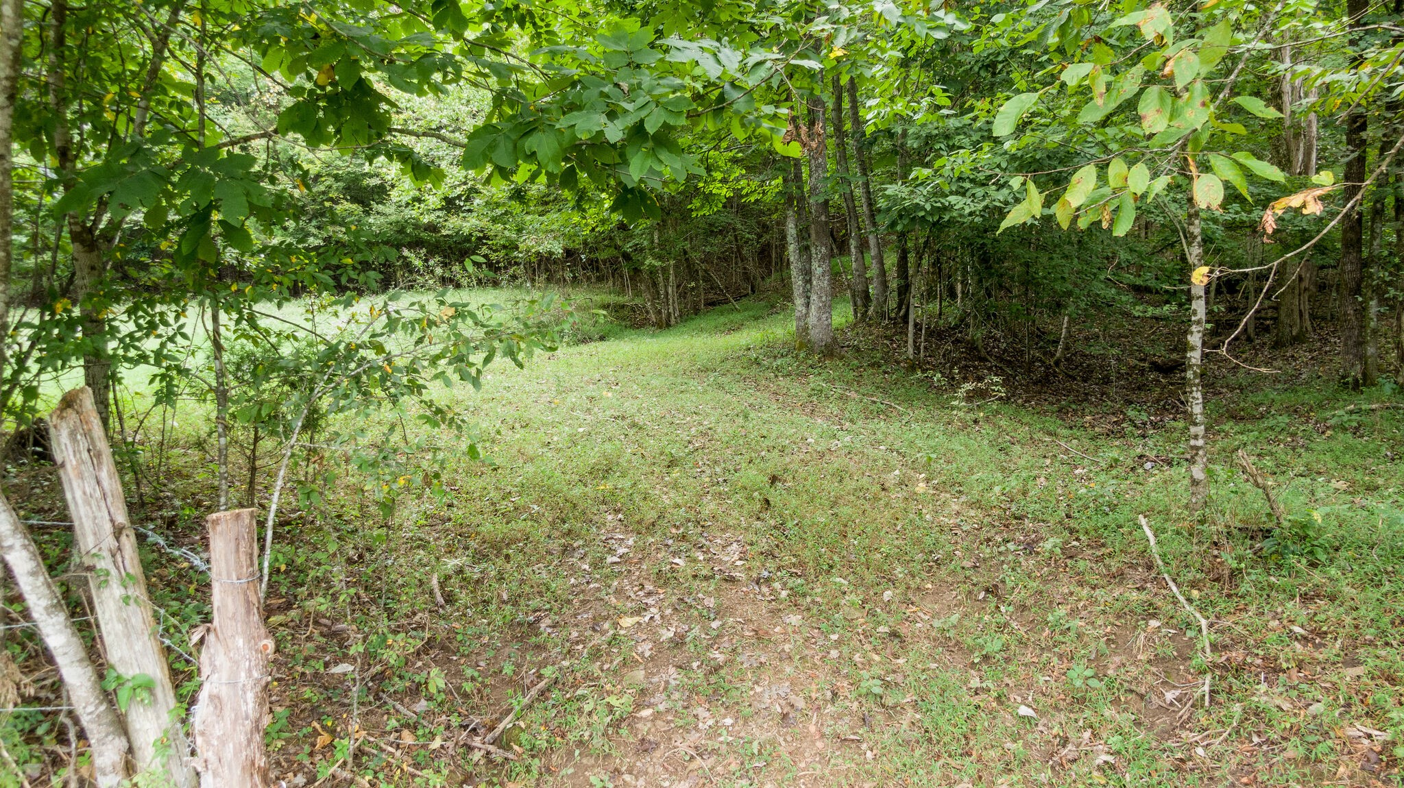 0 Young Hollow Road Pulaski, TN 38478 - Photo 31 of 46 a view of outdoor space and garden