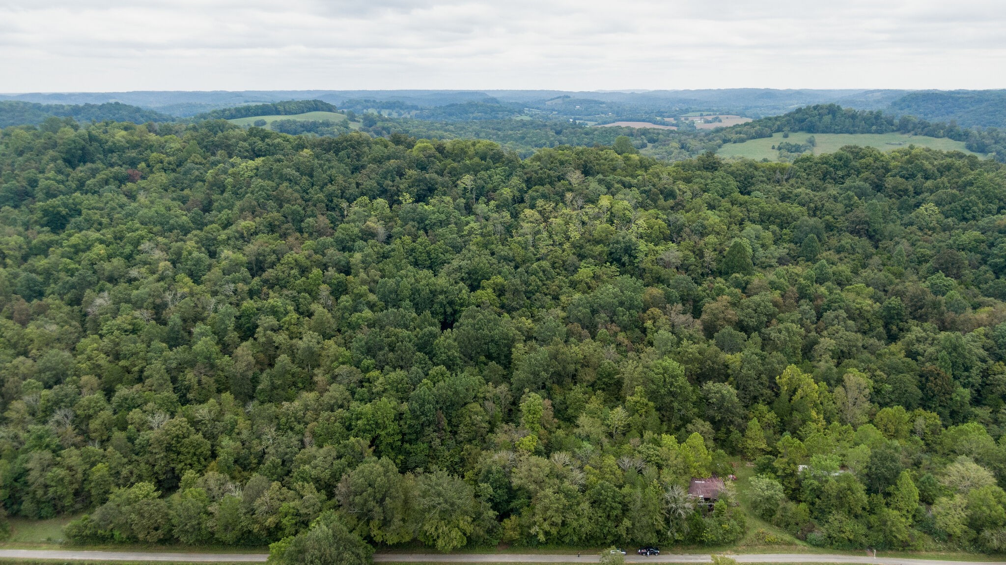 0 Young Hollow Road Pulaski, TN 38478 - Photo 36 of 46 an aerial view of a house with a yard