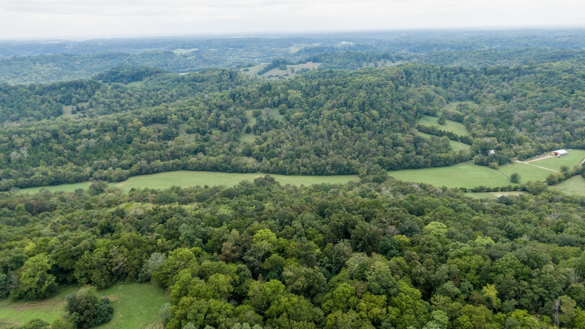 0 Young Hollow Road Pulaski, TN 38478 - Photo 39 of 46 a view of a lush green forest with trees and some houses