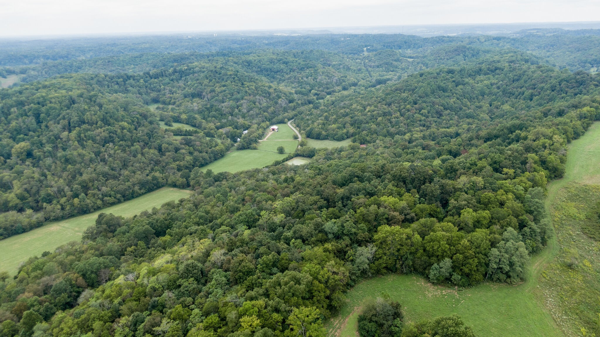 0 Young Hollow Road Pulaski, TN 38478 - Photo 40 of 46 a view of a lush green forest with trees and some houses