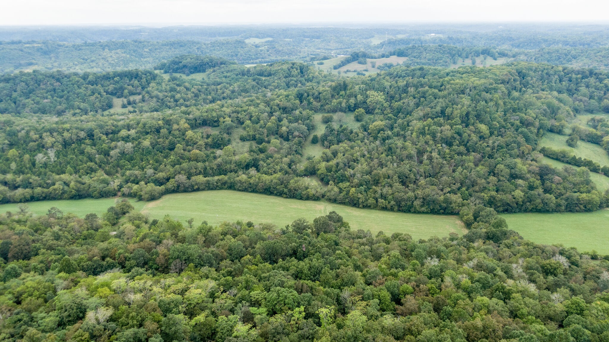 0 Young Hollow Road Pulaski, TN 38478 - Photo 45 of 46 a view of a lush green forest with trees and some houses
