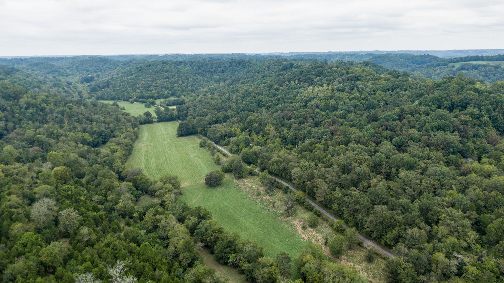 0 Young Hollow Road Pulaski, TN 38478 - Photo 46 of 46 an aerial view of residential houses with outdoor space and trees