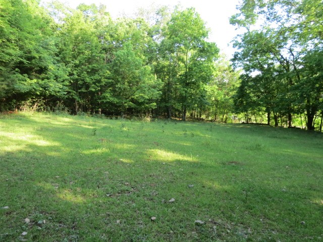 0 Young Hollow Road Pulaski, TN 38478 - Photo 10 of 46 a view of a grassy field with trees