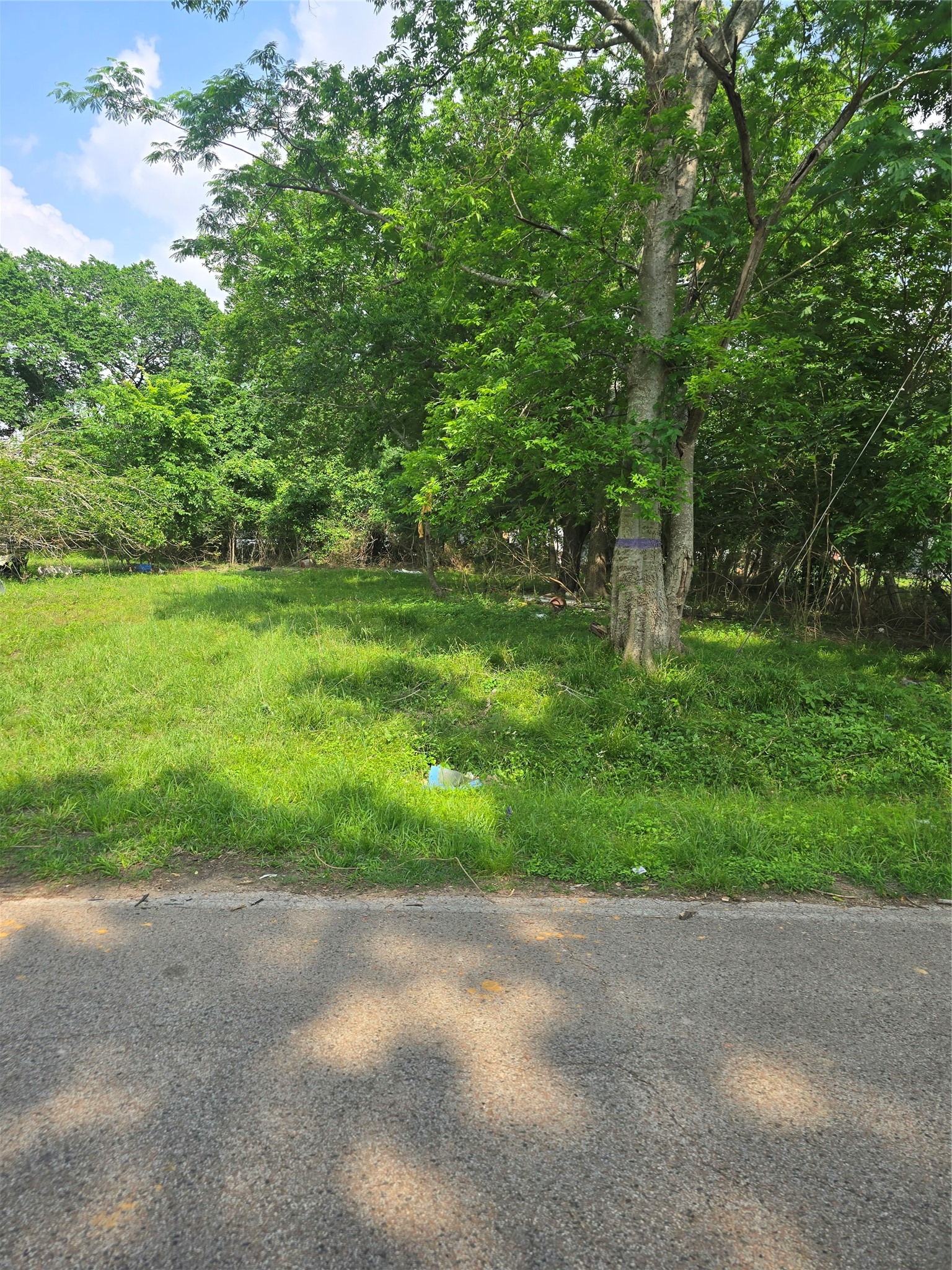24922 Wilson Street Tomball, TX 77375 - Photo 7 of 7