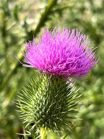 $30,000 | 22164 Missouri KK, St. James, MO 65559