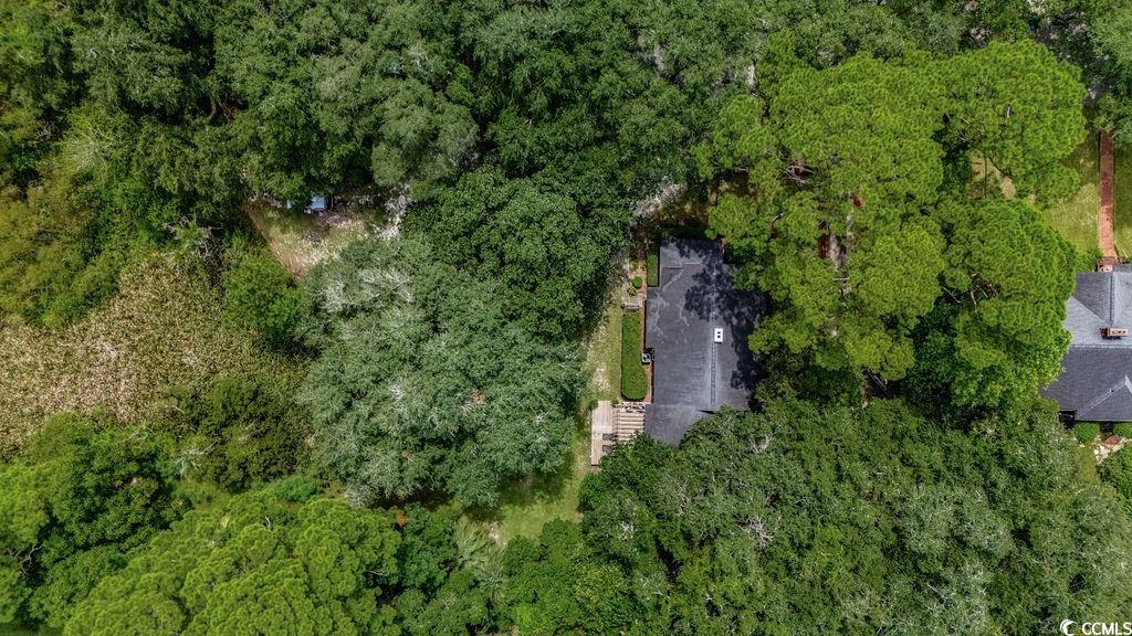 910 Willow Bank Road Georgetown, SC 29440 - Photo 9 of 40 View of property location featuring a heavily wooded area