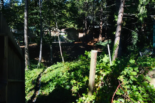 a view of a house with a tree