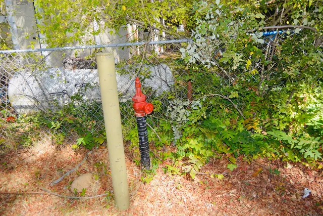 a view of house with yard