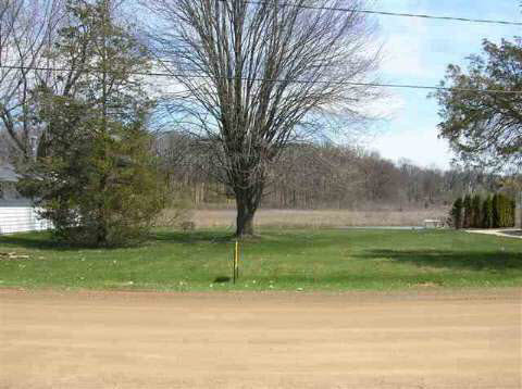 Pamela Cr Road Jackson, MI 49201 - Photo 2 of 4