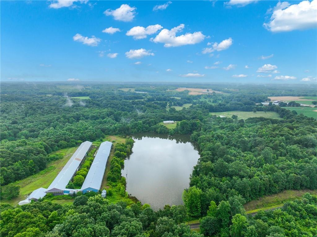 397 Reed Brawner Road Royston, GA 30662 - Photo 23 of 32 Gallery Image 23